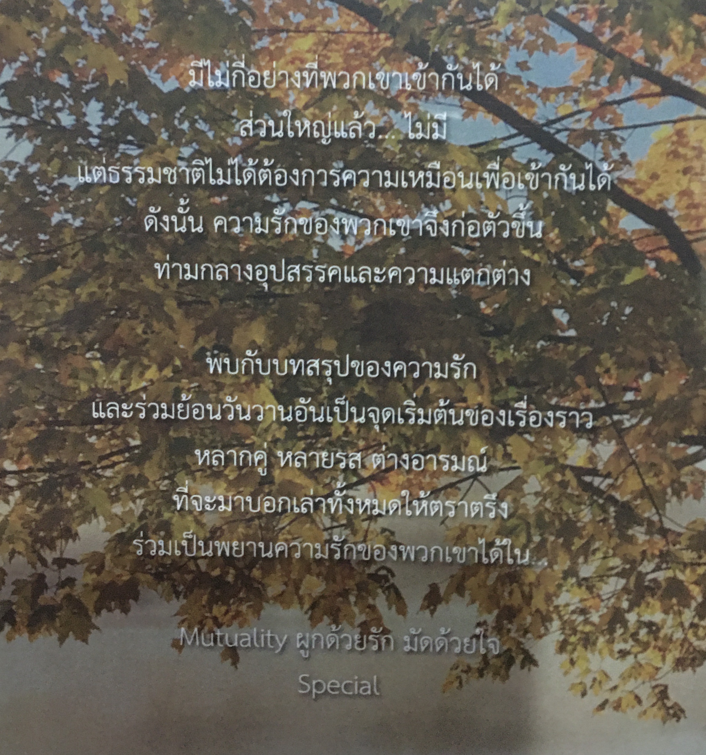 นิยายแต่ง ผูกด้วยรักมัดด้วยใจ 3 เล่ม รอบจอง