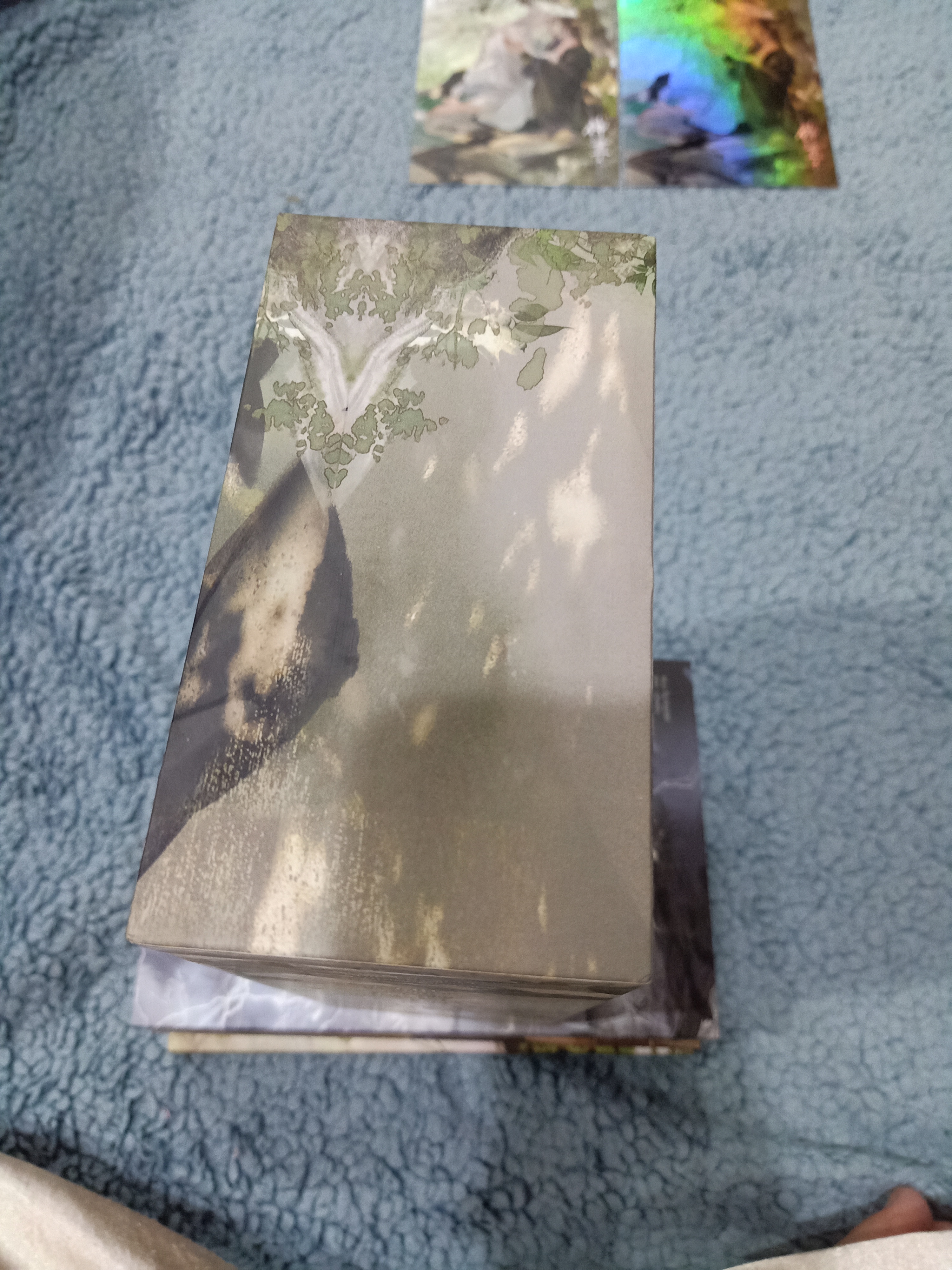 Boxset นิยายแปล รักนิรันดร์ของนายท่านแมว +โปสเตอร์ รอบจอง