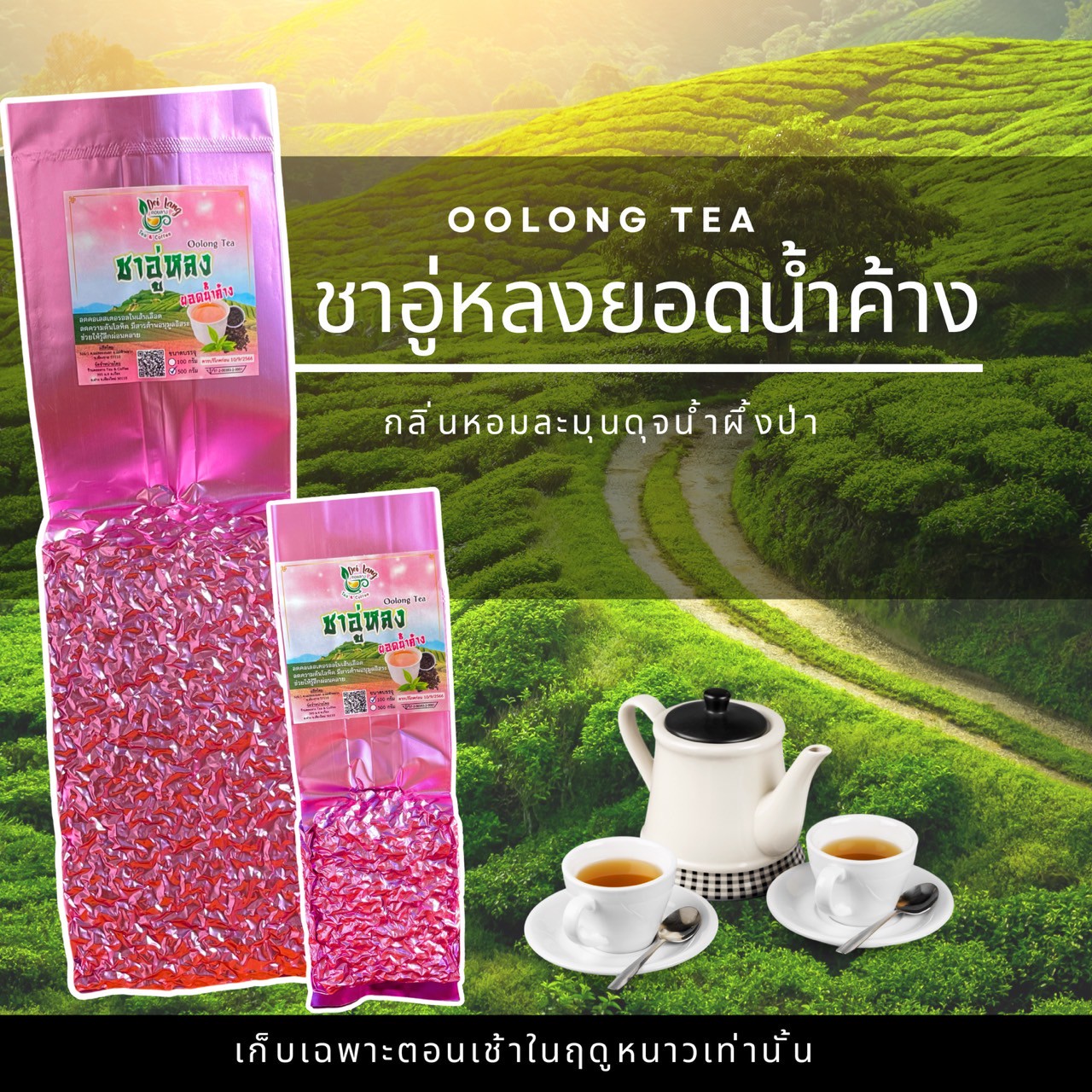 🍃 ชาอู่หลงยอดน้ำค้างพรีเมียม ขนาด 500 กรัม ชาอู่หลงคุณภาพเยี่ยม เก็บเกี่ยวพิเศษในยามเช้าฤดูหนาว ชาอู่หลงยอดน้ำค้าง - สัมผัสความหอมละมุนจากธรรมชาติ 🍃 Premium Dewdrop Oolong Tea - 500g Exquisite Winter Morning Oolong Tea - 500g