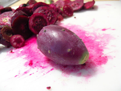 พริคลี่แพร์ผลสีแดง - Red fruit Prickly Pear