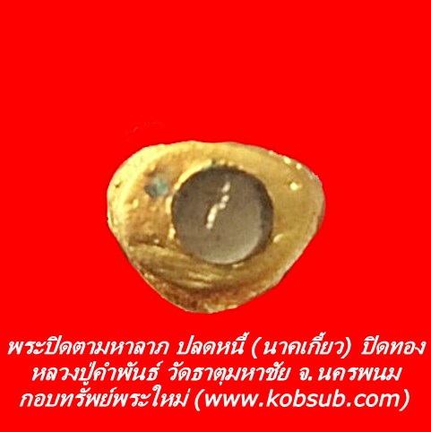 พระปิดตามหาลาภ ปลดหนี้ (นาคเกี้ยว) ปิดทอง หลวงปู่คำพันธ์ วัดธาตุมหาชัย
