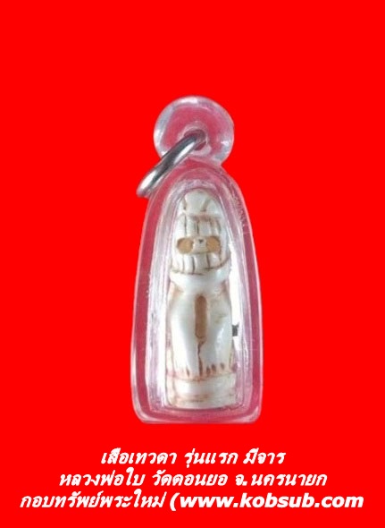 เสือเทวดา รุ่นแรก มีจาร หลวงพ่อใบ วัดดอนยอ