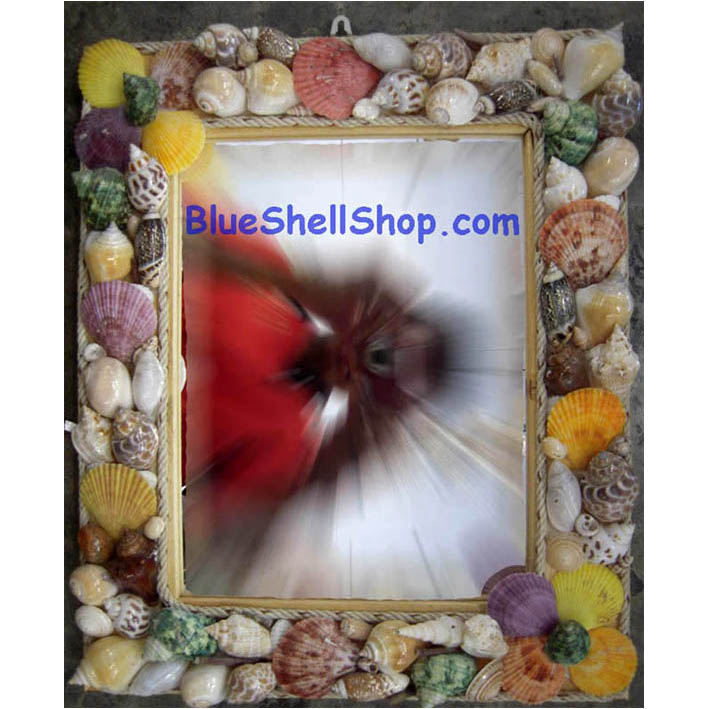 กระจกหอยสี่เหลี่ยมผืนผ้าไซต3