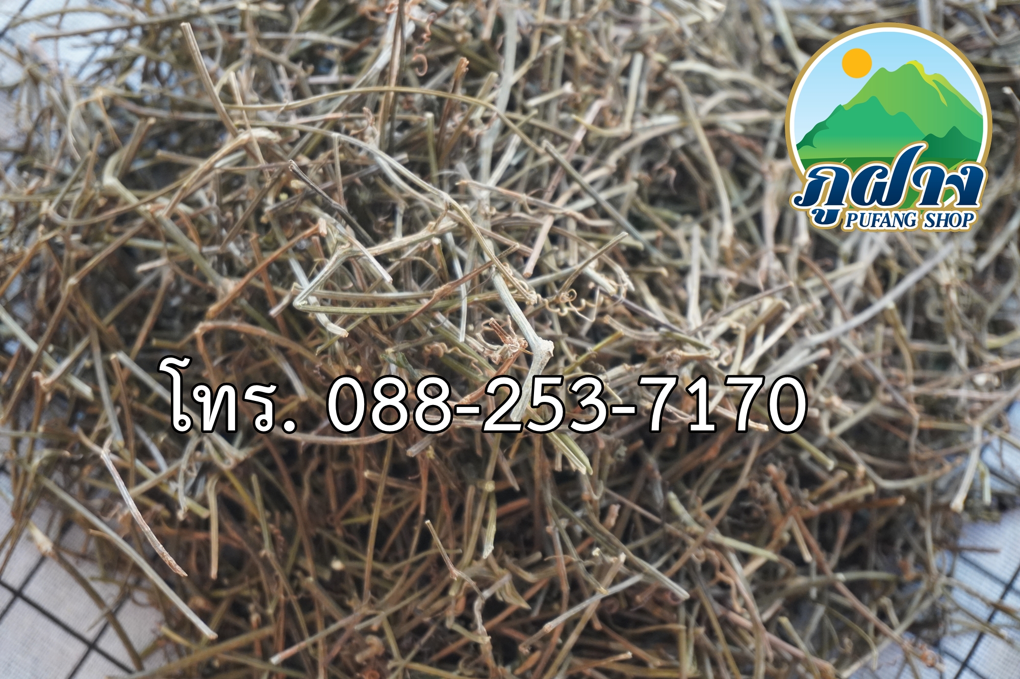 ชาเจียวกู่หลาน ขนาด 500 กรัม (ครึ่งกิโลกรัม) ราคานี้คุ้มสุด ๆ ชาออแกร์นิค เจียวกู่หลาน ปลอดสารเคมี Jiaogulan (Gynostemma pentaphyllum) ชาสมุนไพรแห่งชาติปี 2548