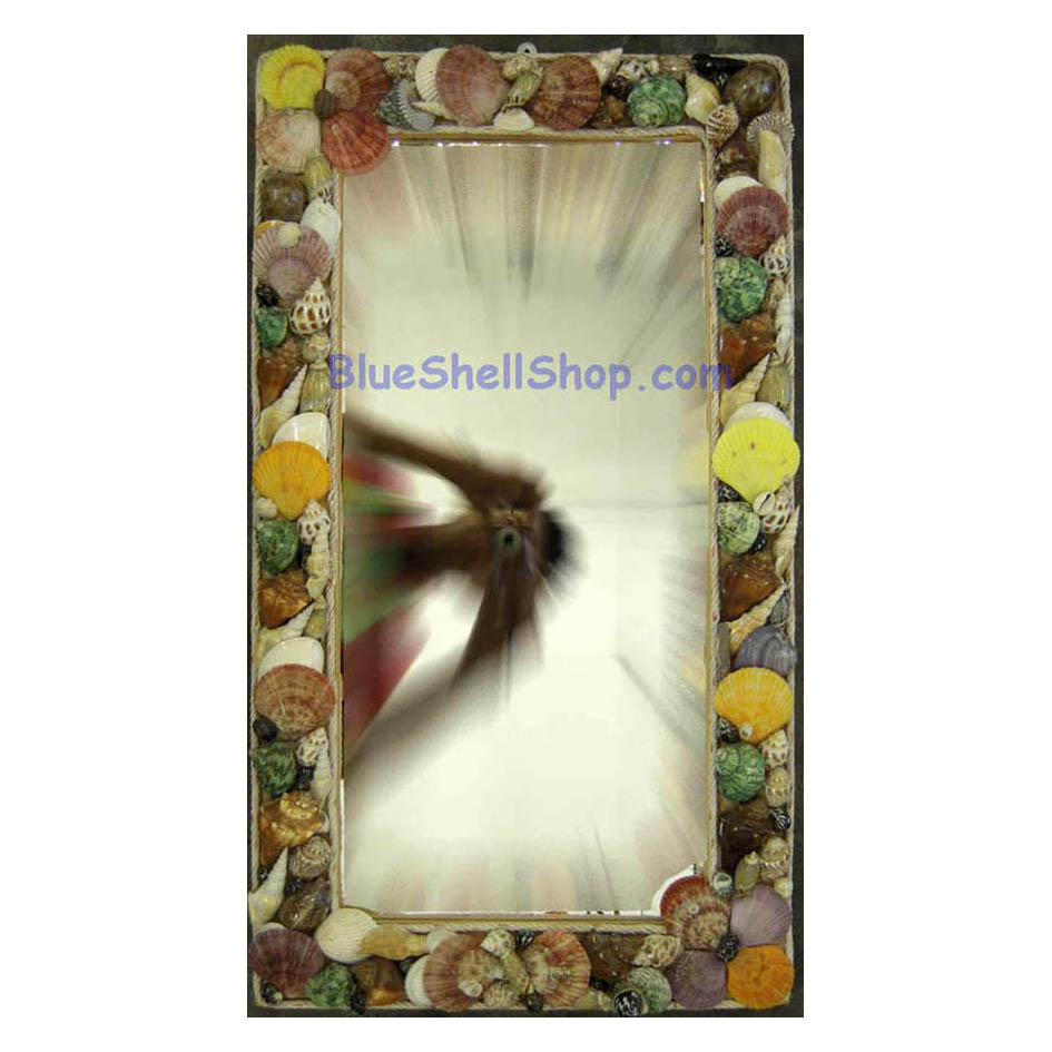 กระจกหอยไซต5