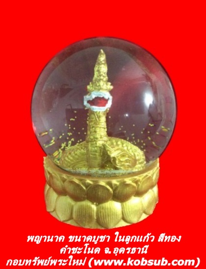 พญานาค ขนาดบูชาในลูกแก้ว สีทอง คำชะโนด จ.อุดรธานี