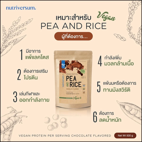 เวย์โปรตีน รสช็อกโกแลต PEA And Rice Nutriversum (ส่งฟรี)