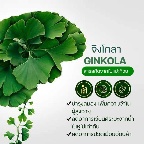 Giffarine จิงโกลา แปะก๊วย กิฟฟารีน