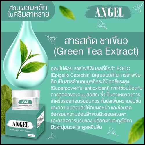 ออร่าแองเจิลไนท์ครีม Angel Aura Angel Night Cream ครีมสาหร่ายหน้าใสลดสิว