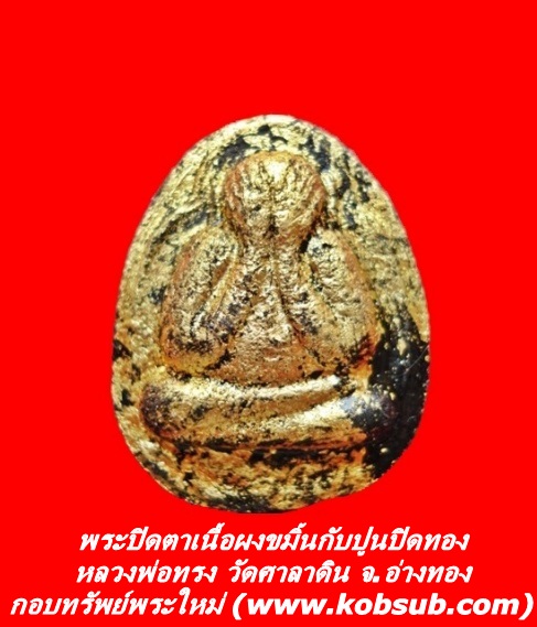 พระปิดตาเนื้อผงขมิ้นกับปูนปิดทอง หลวงพ่อทรง วัดศาลาดิน