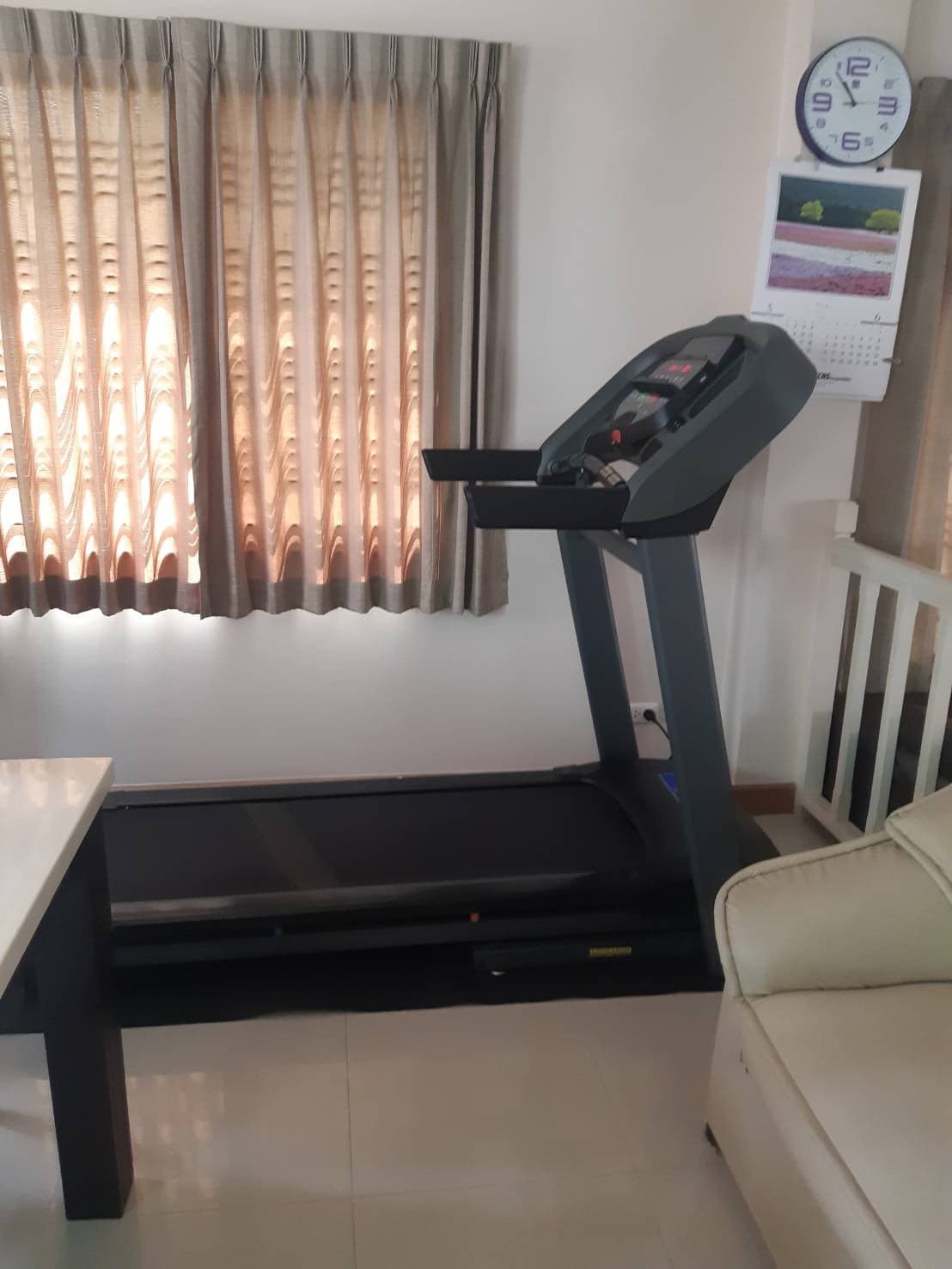 ลู่วิ่งไฟฟ้า Horizon T101