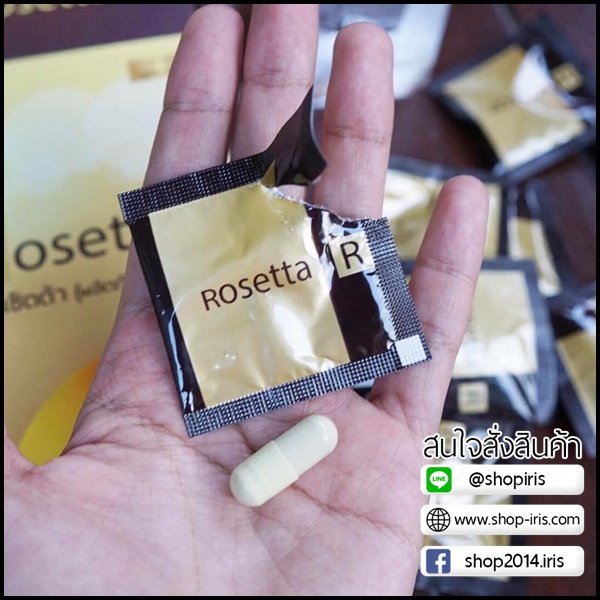 โรเซ็ตต้า Rosetta