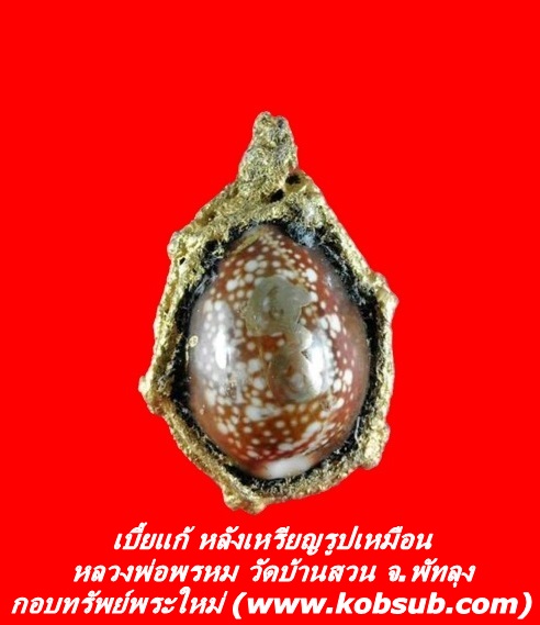 เบี้ยแก้ หลังเหรียญรูปเหมือน มีจาร หลวงพ่อพรหม วัดบ้านสวน จ.พัทลุง