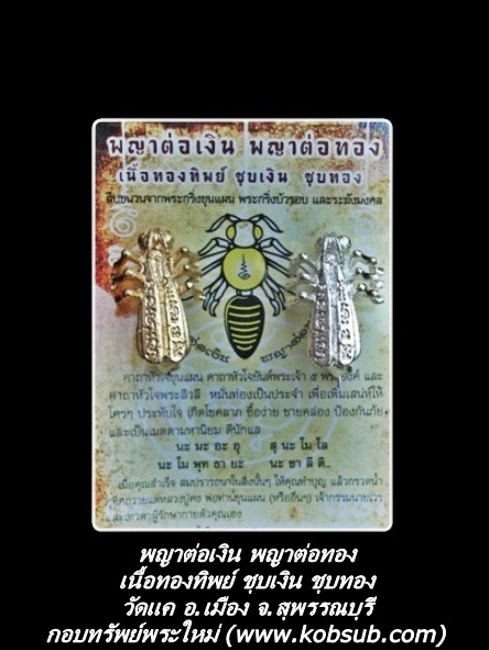 พญาต่อเงิน พญาต่อทอง เนื้อทองทิพย์ ชุบเงิน ชุบทอง วัดแค จ.สุพรรณบุรี