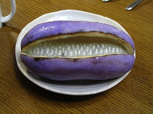 อะเคบิ - Akebia Trifoliata