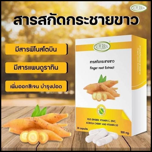 สารสกัดกระชายขาว Supurra