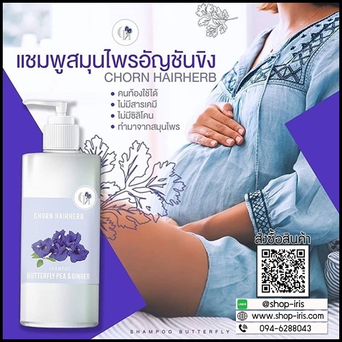 ชรแฮร์เฮิร์บ แชมพูสมุนไพรสดอัญชันขิง Chorn Hairherb เร่งยาว ลดการหลุดร่วง (1 แถม 1 ) ส่งฟรี