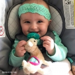 Mary Meyer WubbaNub Infant Pacifier ~ Lily Llama