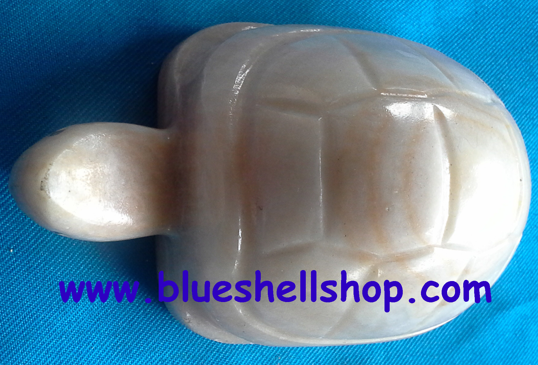 เต่าหินอ่อน