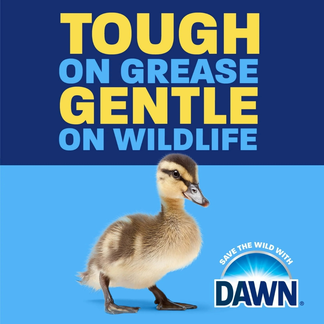 นำเข้า 🇺🇸 👉 Dawn Ultra EZ-Squeeze 💦 เป็น น้ำยาล้างจาน และขวดคว่ำได้ ขจัดไขมันได้เร็วขึ้น 5 เท่า 💪 กลิ่น Original หอมสะอาดแบบคลาสสิก 🦆