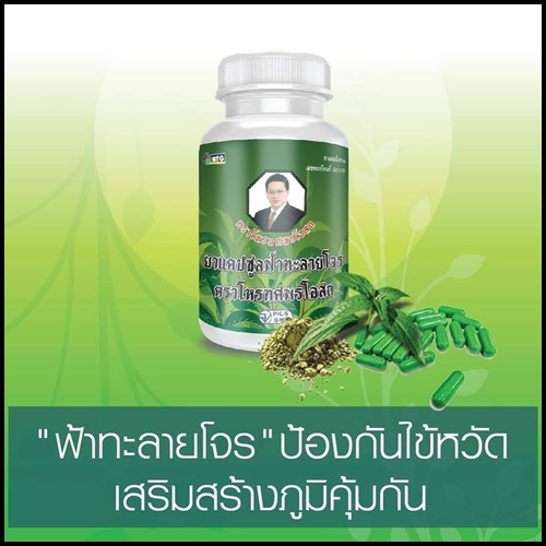 ฟ้าทะลายโจร ตราโหรทศพรโอสถ