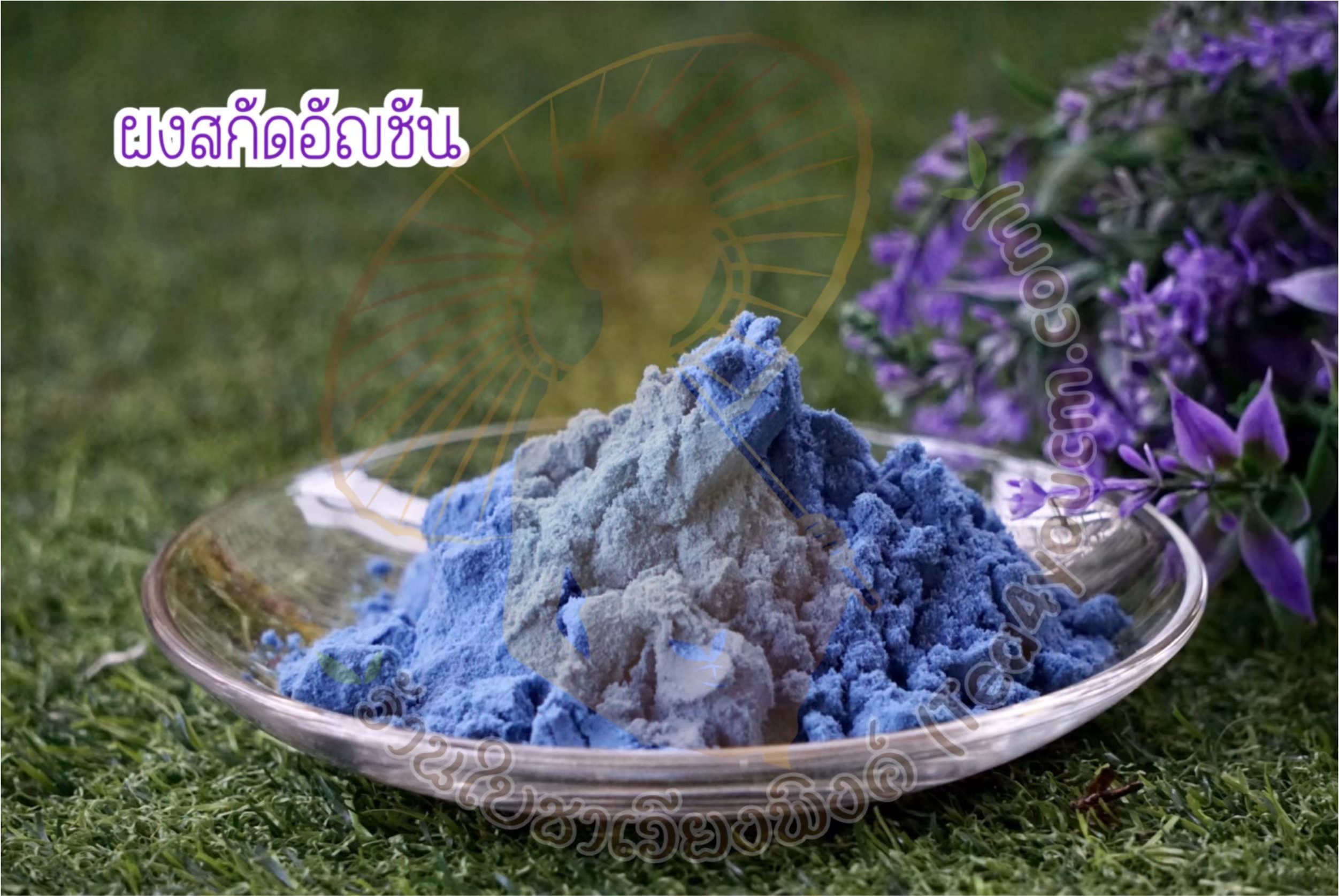 ผงดอกอัญชัน ขนาด 100 กรัม ผงอัญชันสกัดเข้มข้น ผงชาอัญชัน (Blue Butterfly Pea Extract) ไม่ใส่นม ไม่มีน้ำตาล ละลายได้ในน้ำอุ่นและน้ำเย็น ไม่มีตะกอนตกค้าง ผงอัญชันเหมาะสำหรับทำเครื่องดื่ม และเบเกอรี่ Dried Blue Butterfly Pea Powder For Beverages and Bakery.