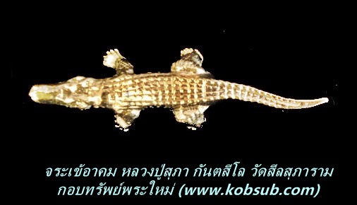 จรเข้อาคม หลวงปู่สุภา กันตสีโล