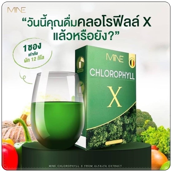 คลอโรฟิลล์ เอ็กซ์ CHLOROPHYLL X คลอโรฟิลล์มายมิ้น