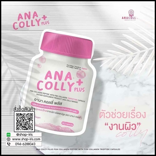 อานา คอลลี่ พลัส Ana Colly Plus