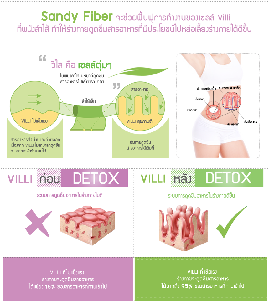 แซนดี้ ดีท็อก 3 มิติ (Sandy Detox 3 มิติ ผลิตภัณฑ์ดีท๊อกซ์)