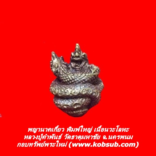 พญานาคเกี้ยว พิมพ์ใหญ่ เนื้อนวะโลหะ หลวงปู่คำพันธ์ วัดธาตุมหาชัย จ.นครพนม