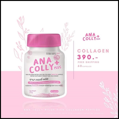 อานา คอลลี่ พลัส Ana Colly Plus