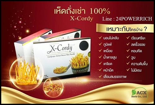 เอ็กซ์ คอร์ดี้ X-Cordy ผลิตภัณฑ์อาหารเสริมจาก ถั่งเช่าแท้ 100%