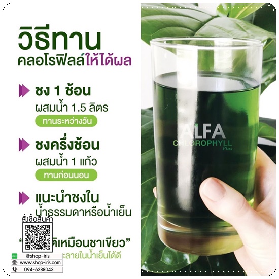 อัลฟาฟ่า คลอโรฟิลล์ Alfa Chlorophyll Plus Fiber