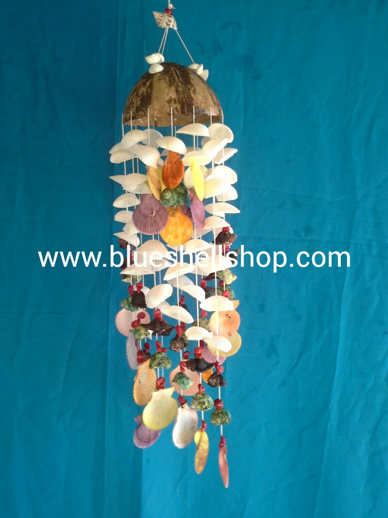 กะลาเวียนสไลค์ดอกไม้เชลล์สีรวม