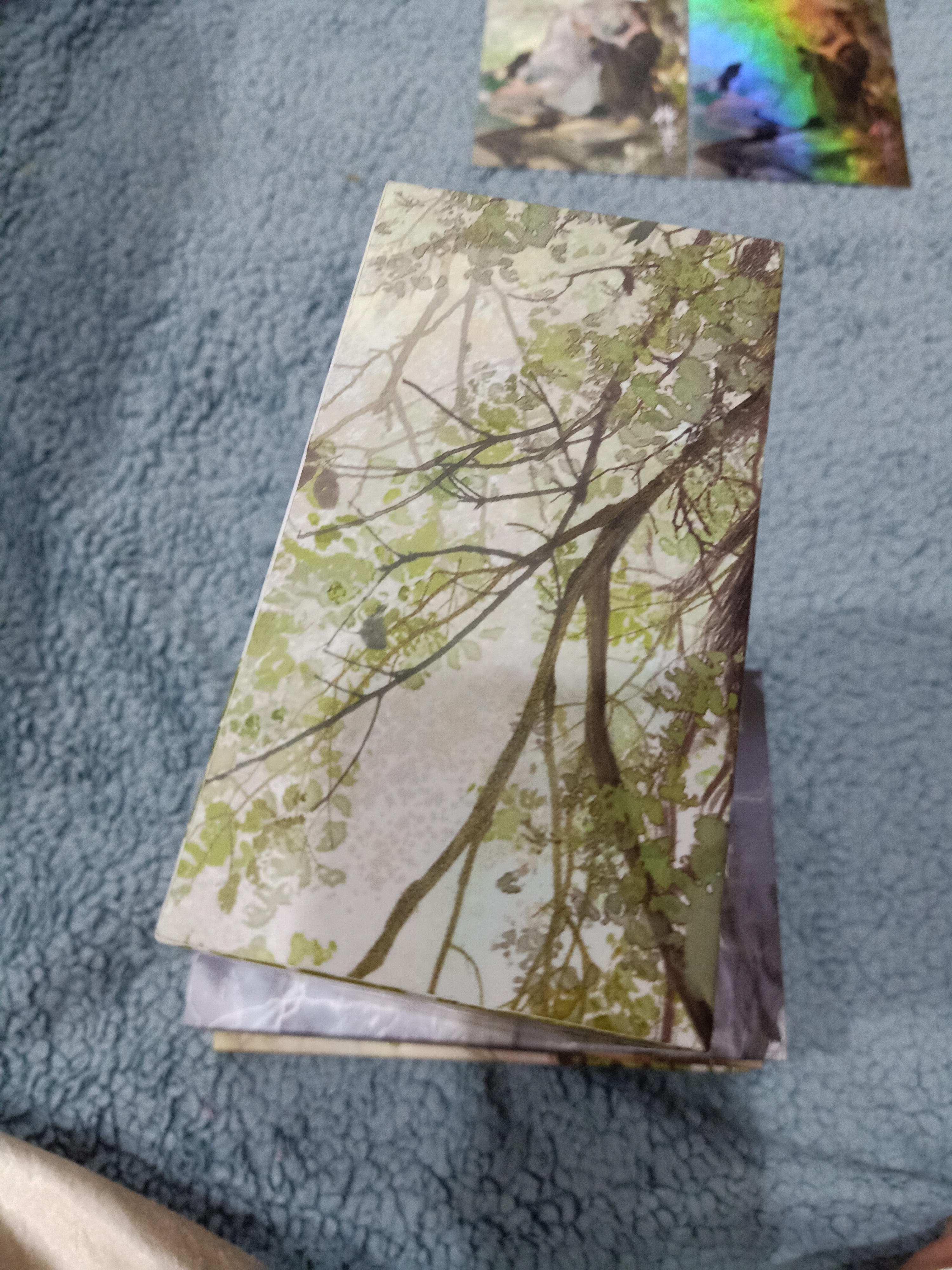 Boxset นิยายแปล รักนิรันดร์ของนายท่านแมว +โปสเตอร์ รอบจอง