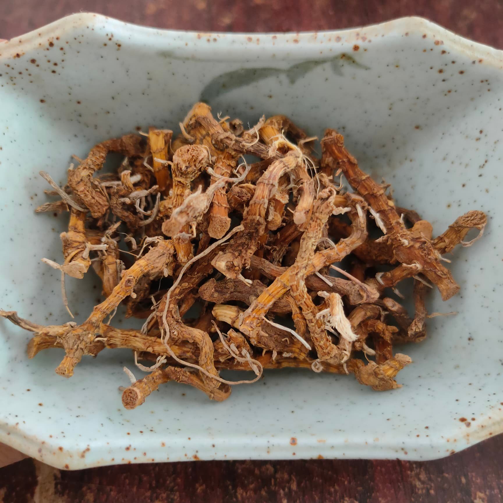 รากปู่เฒ่าทิ้งไม้เท้า **สินค้าหายาก** ปู่เฒ่าลืมไม้เท้า (บัวดอย) Aspidistra elatior น้ำหนัก 1 กิโลกรัม เป็นพืชสมุนไพรที่ค้นพบปี 2543 บนที่สูงตั้งแต่ ระดับน้ำทะเล 1,400-1,800 เมตร สรรพคุณแก้ปวดหลัง ปวดเอว ปวดตามส่วนต่างๆของร่างกายและใช้ในการบำรุงร่างกาย