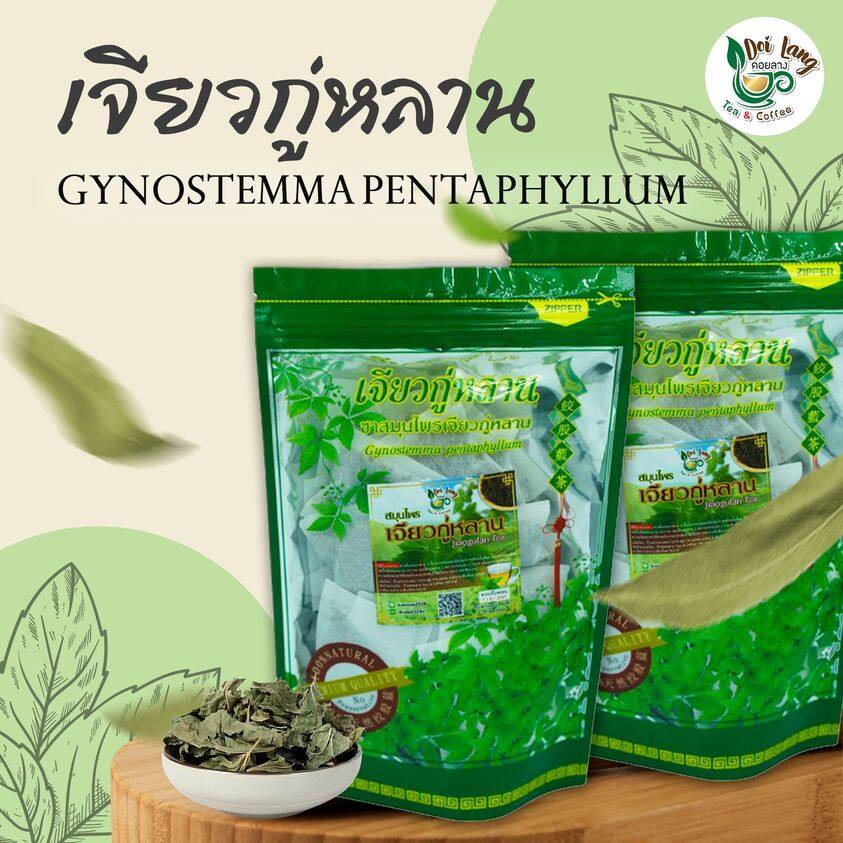 ชาเจียวกู่หลาน ขนาด 30 ซองชา สัมผัสประสบการณ์ดื่มชาที่แตกต่างกับชาเจียวกู่หลาน จากดอยอ่างขาง หอมกลิ่นธรรมชาติ รสชาติกลมกล่อม ช่วยให้ร่างกายสดชื่น ผ่อนคลาย ชาปัญจขันธ์ ผลิตภัณฑ์ธรรมชาติ เจียวกู่หลาน บรรจุ 30 ซองชา Jiaogulan tea ชาเจียวกู่หลาน ปลูกแบบไร้สาร