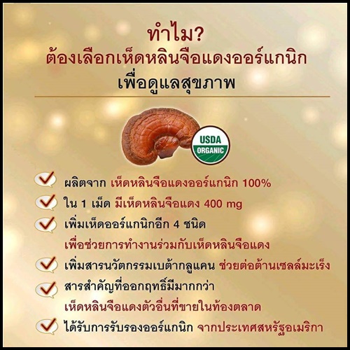 S.O.M. Lingzhi Sun หลินจือ ซัน ผลิตภัณฑ์เสริมอาหาร