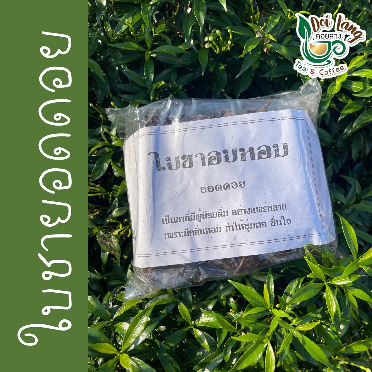 ใบชาอบหอม ใบชาอัสสัม ขนาด 100 กรัม ชาป่า ชาแห้ง ลดความดันโลหิตสูง ทำให้กระปรี้กระเปร่า ต่อต้านอนุมูลอิสระ ป้องกันฟันผุ ผ่อนคลายระบบประสาท