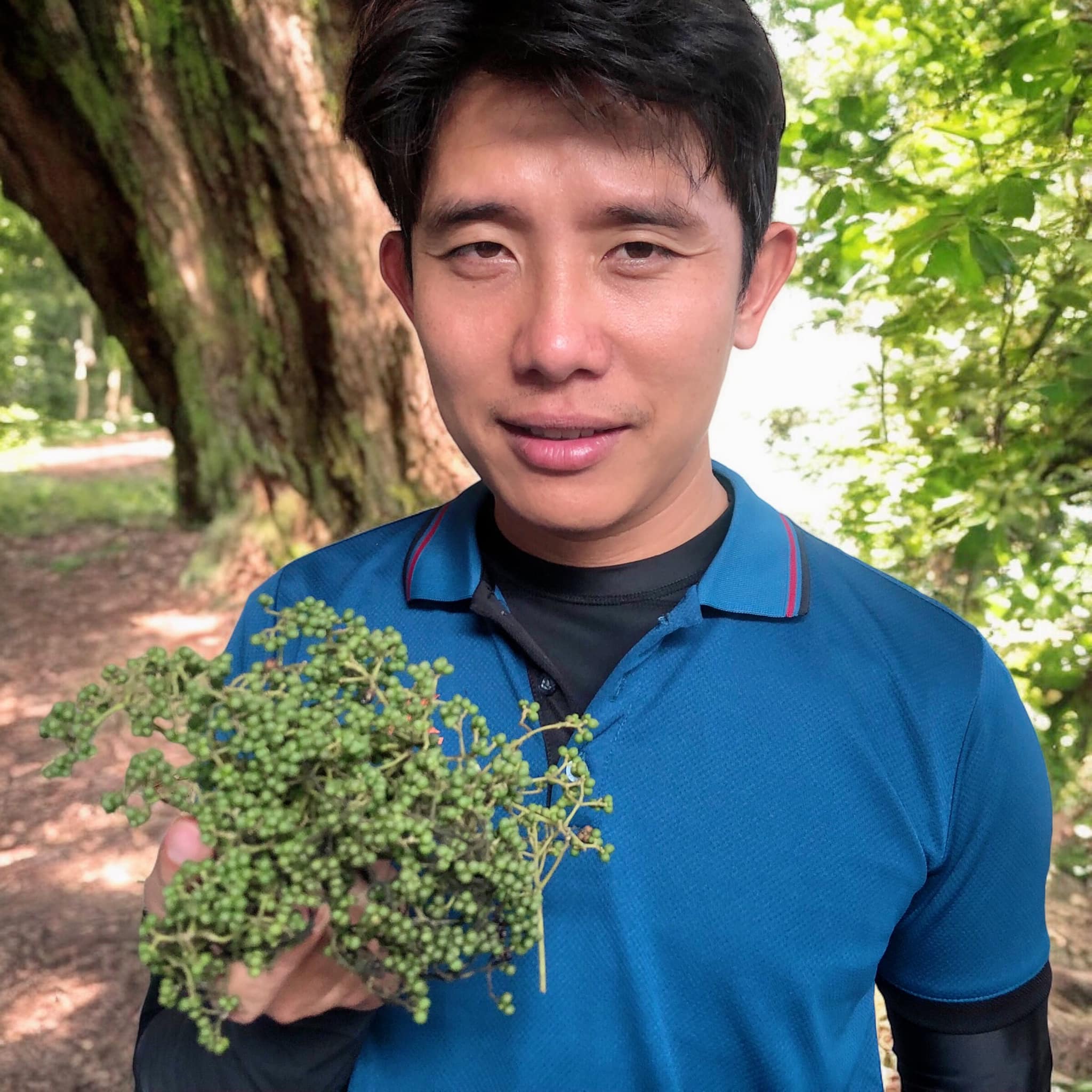 🌿 มะแข่น มะแขว่น 500g (ครึ่งกิโล) มะแขว่นเด็ดก้าน มะแขว่นคนเหนือ ลูกระมาศ หมากมาศ พริกไทยเสฉวน เครื่องเทศลาบ ลาบหมู หลู้ แกงฮังเล น้ำพริกอ่อง ไส้อั่ว เครื่องเทศเมืองเหนือ ของดีเชียงใหม่ ราคาส่ง | Zanthoxylum 500g Sichuan Pepper Thai Spice Larb Han