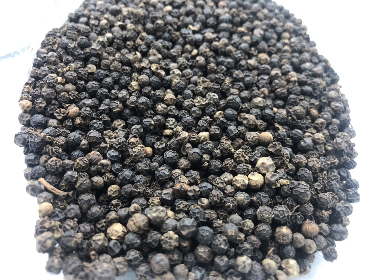 พริกไทยดำ Black pepper ขนาด 100 กรัม 黑糊椒粒 พริกไทยสเต็ก เครื่องเทศ พริกไทยเม็ดดำ คุณภาพดี พริกไทยดำเม็ด