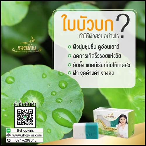 สบู่รวงข้าวใบบัวบก by ตั๊ก ลีลา Ruang Khao And Gotu Kola Soap