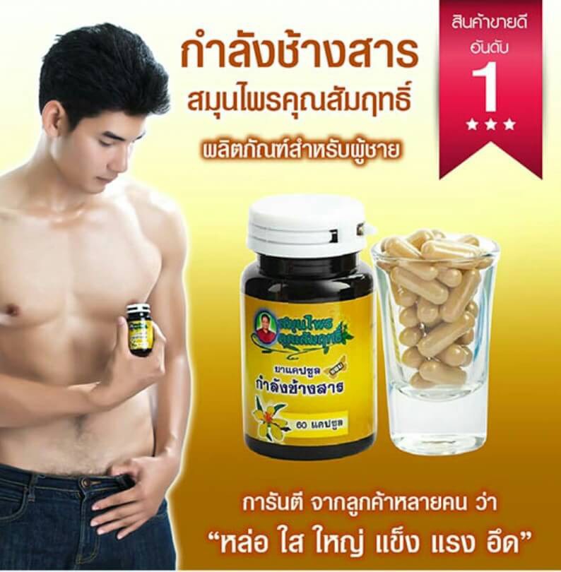 กำลังช้างสาร สมุนไพรคุณสัมฤทธิ์