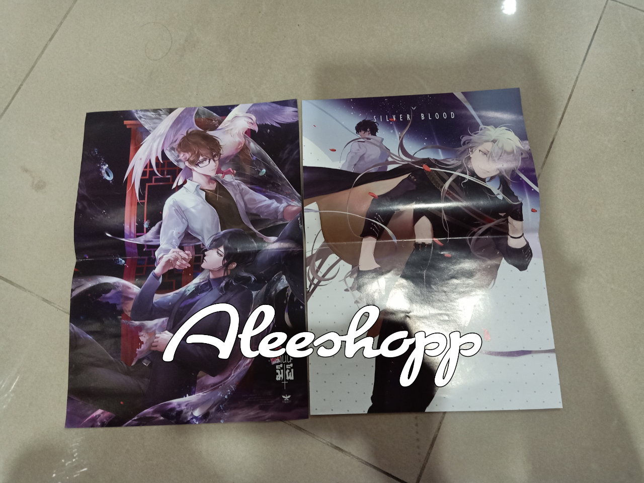 โปสเตอร์ 2 แผ่น