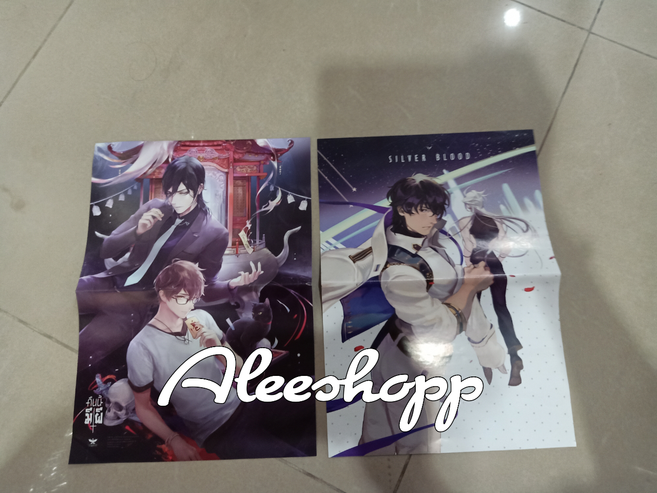 โปสเตอร์ 2 แผ่น