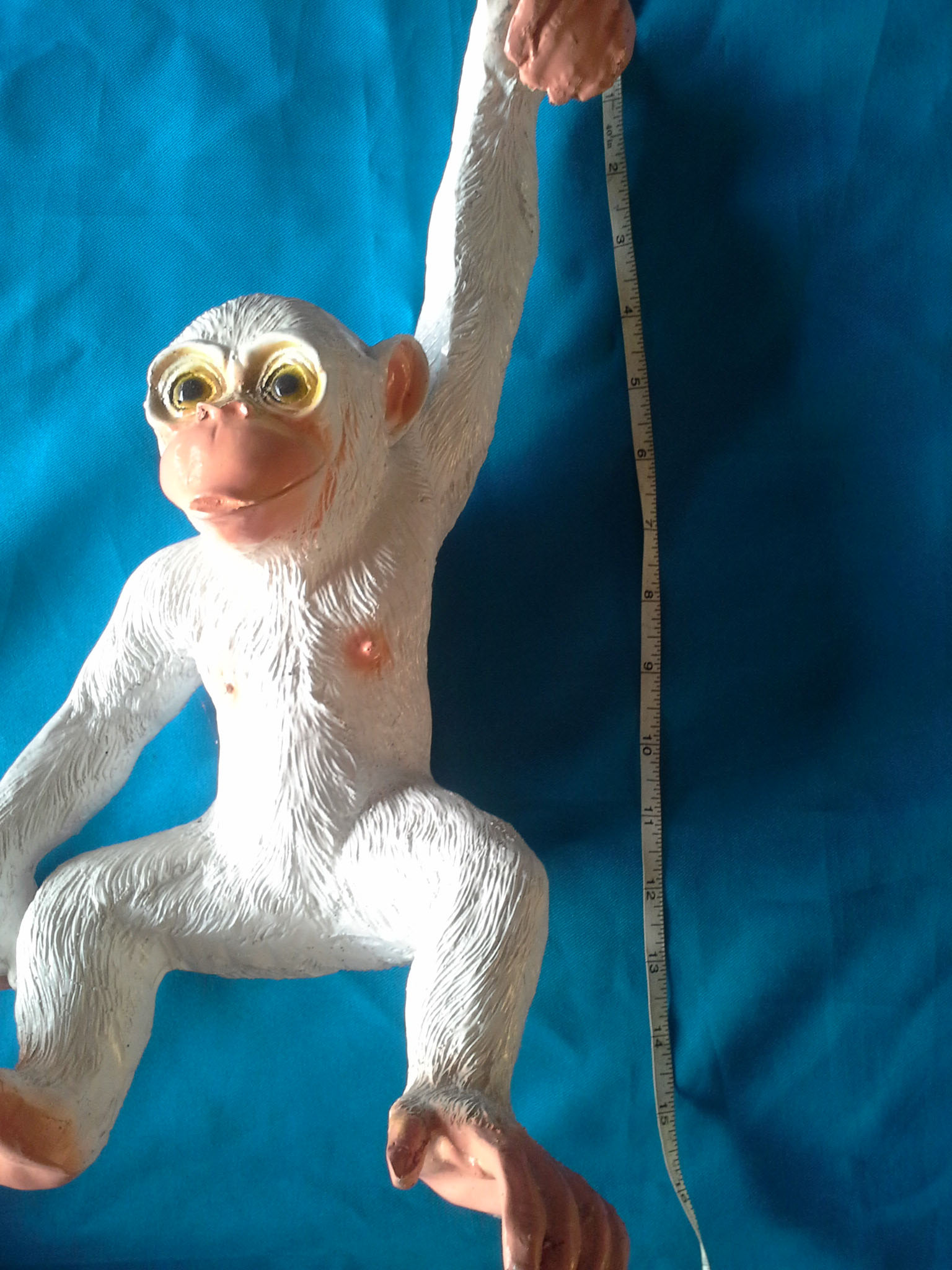 ลิงแขวนต้นไม้