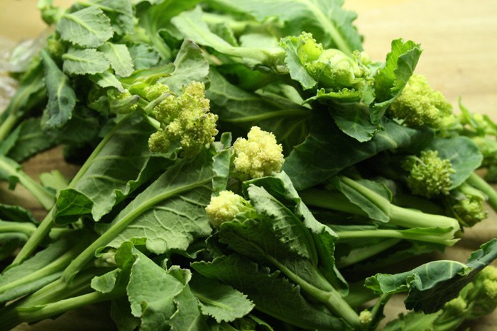บรอกโคลี่ดอกสีขาว - White Sprouting Broccoli
