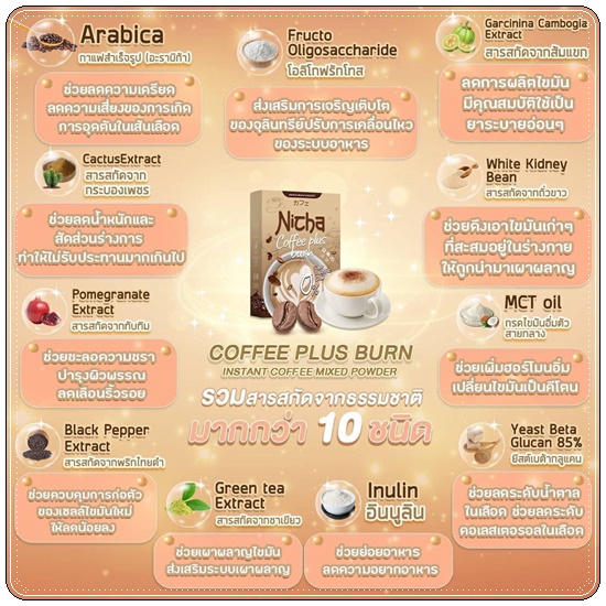 กาแฟโกโก้ มอสเจีย (ส่งฟรี)