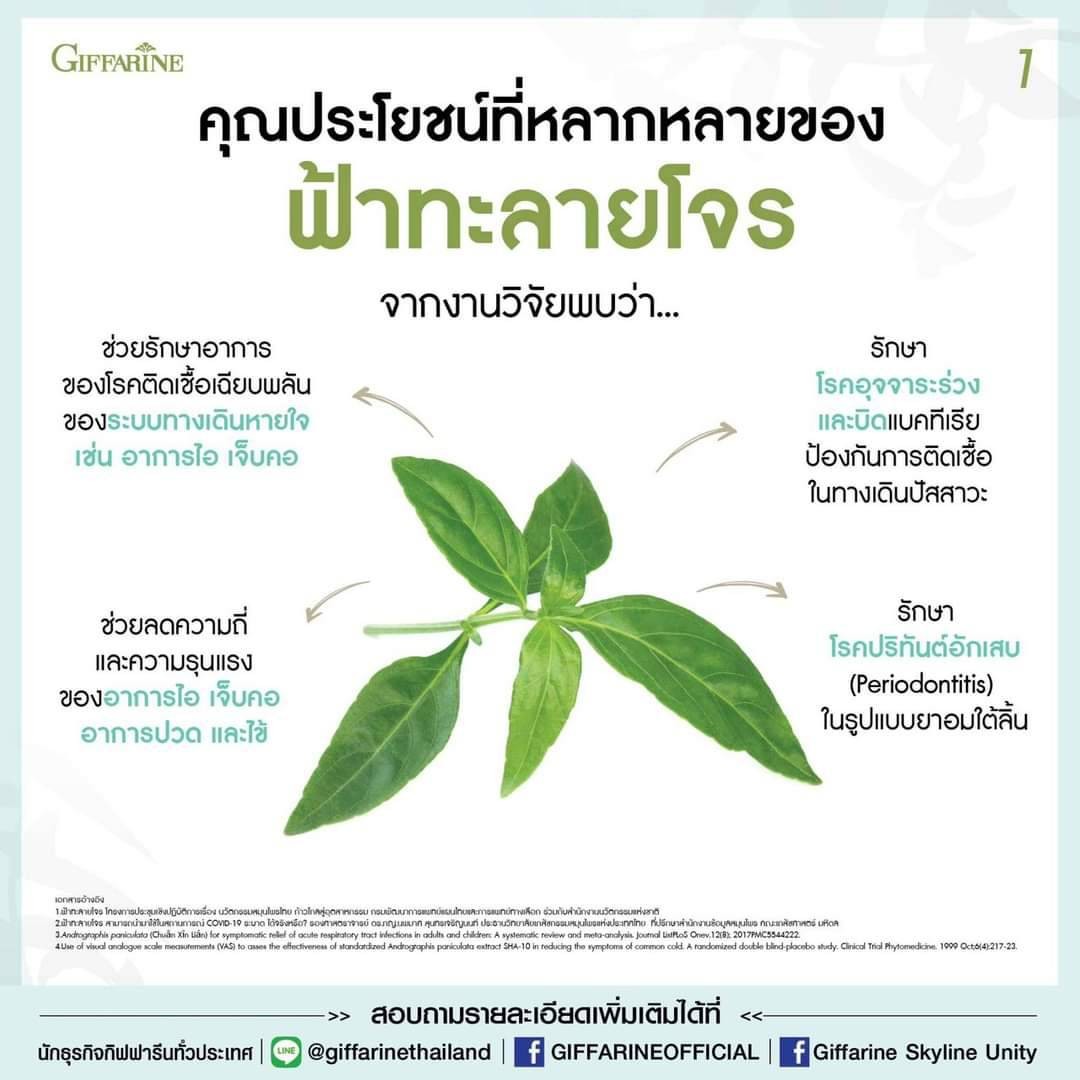 กิฟฟารีน ฟ้าทะลายโจร ฟ้าทะลายโจรสกัด กิฟฟารีน เลขทะเบียนยาG798/59